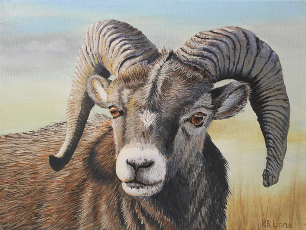 Bighorn Ram