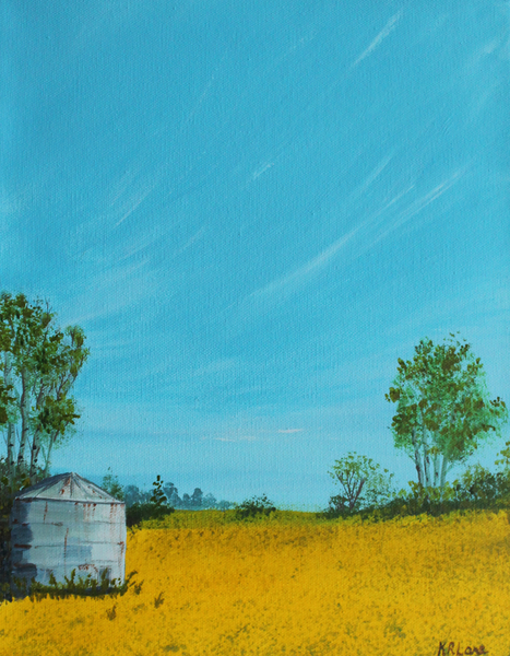 Canola Skies