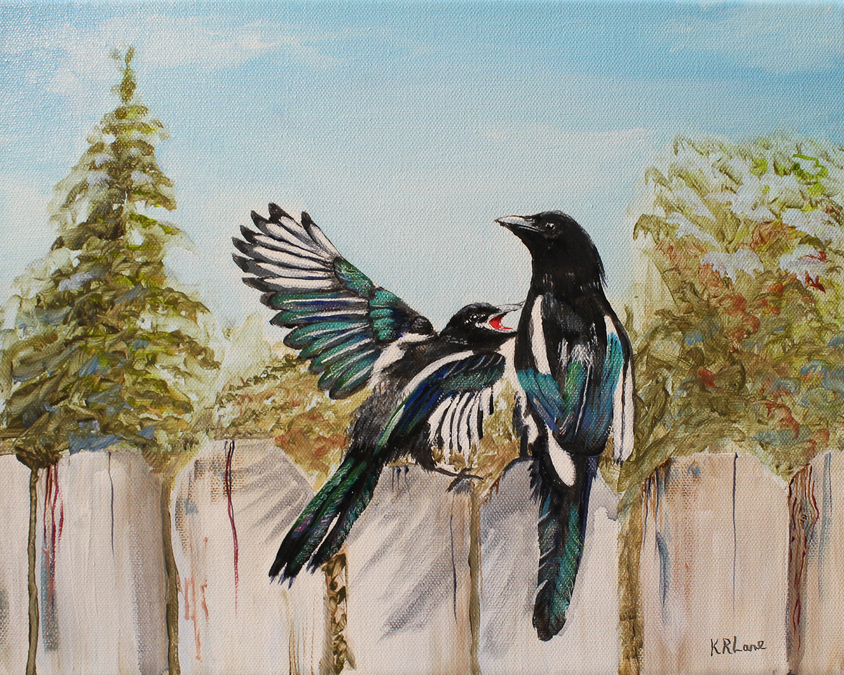 Magpie Serenade