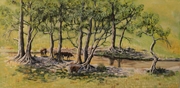 OASIS