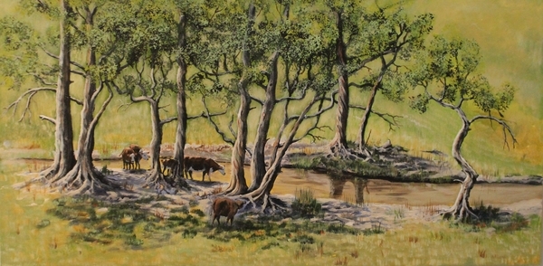 OASIS